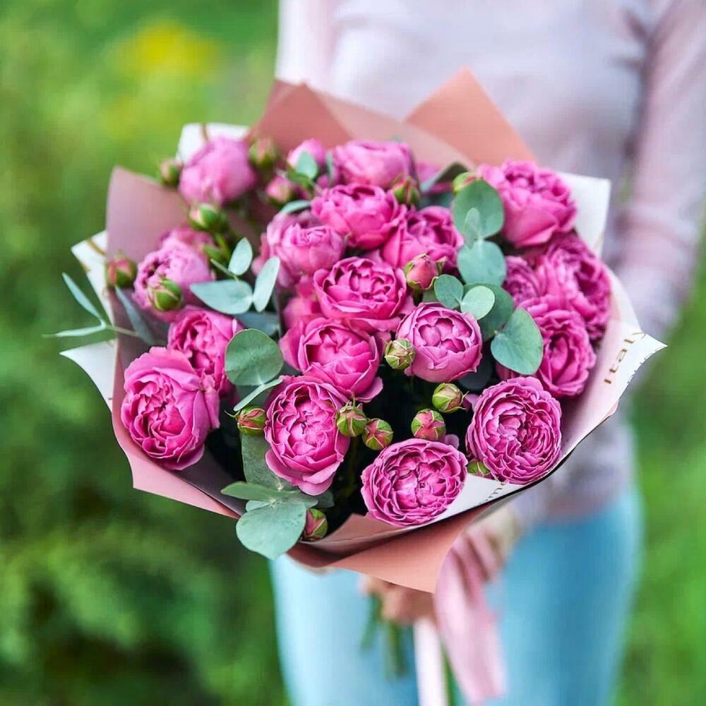 Peny spray Roses - Misty Bubbles with Eucalipt